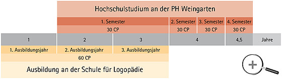 Die Tabelle stellt den Studienverlauf und seine Verzahnung mit der Ausbildung dar. 