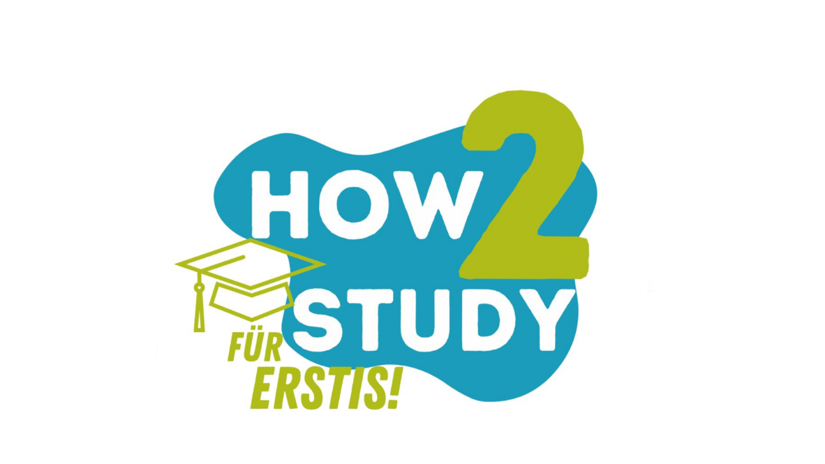 Logo H2S Erstis