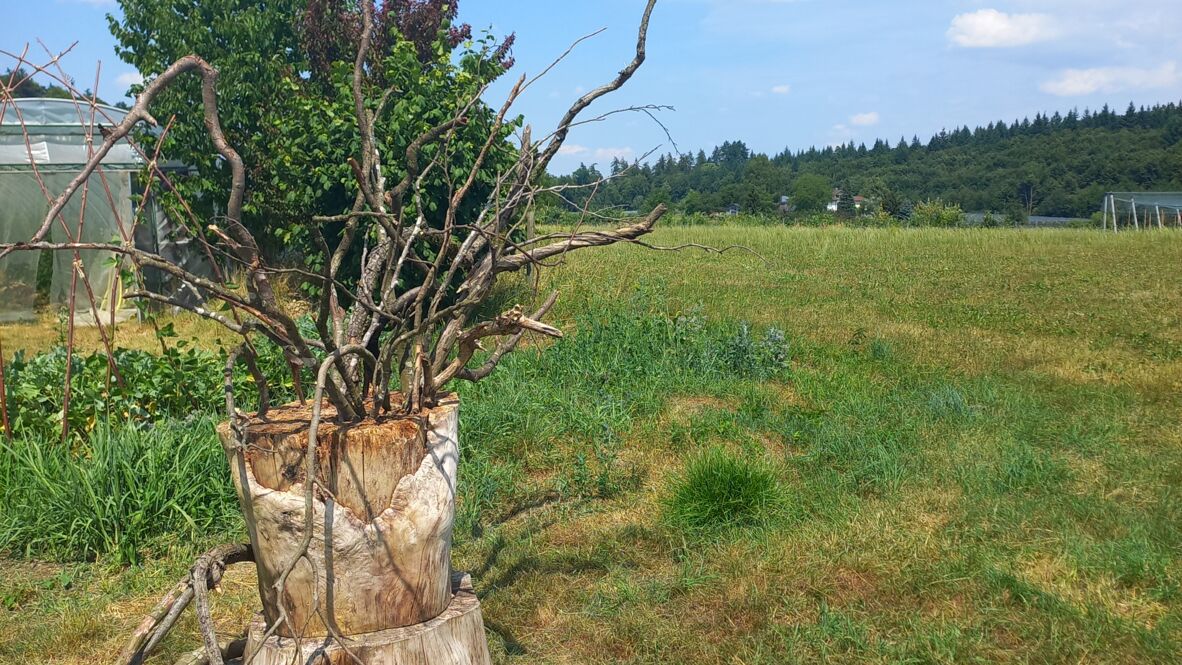 LandschaftsArt7 LandschaftsArt7