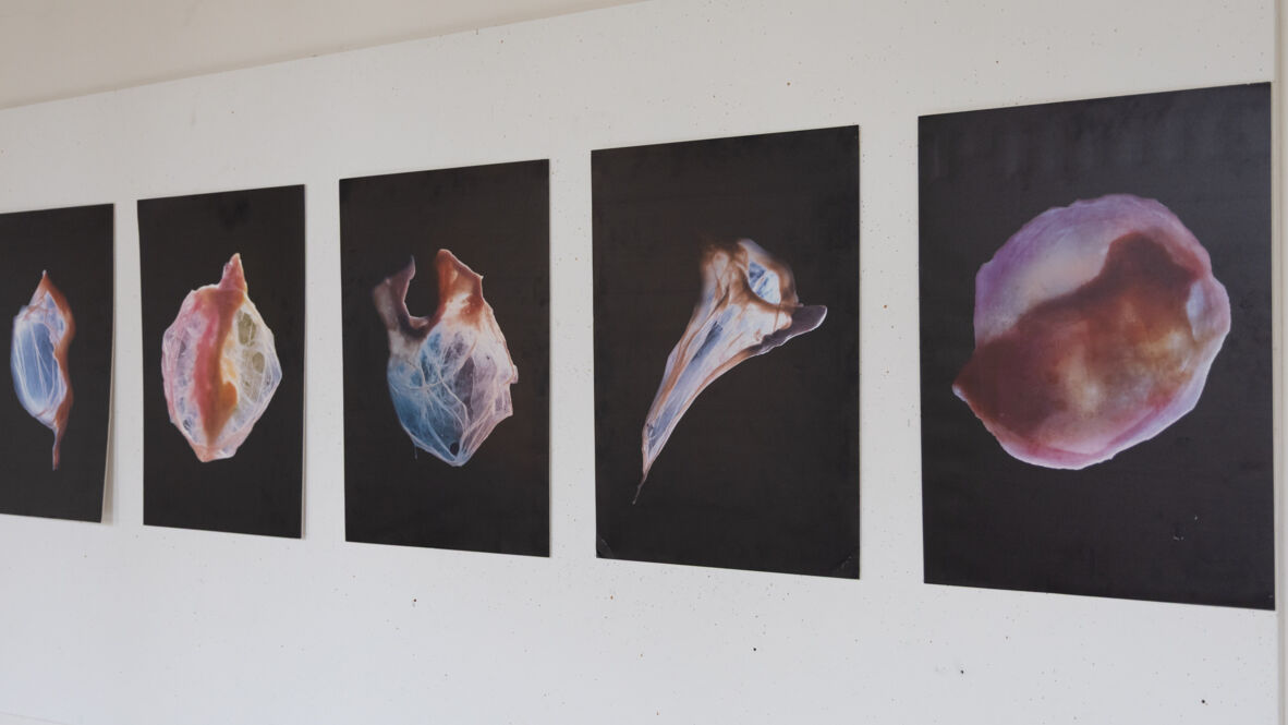 Was wie fantastische Lebewesen aus der Tiefsee aussieht, sind Kaugummis, die Natalie Kohler fotografisch in Szene gesetzt hat. Kunstausstellung_Kaugummi