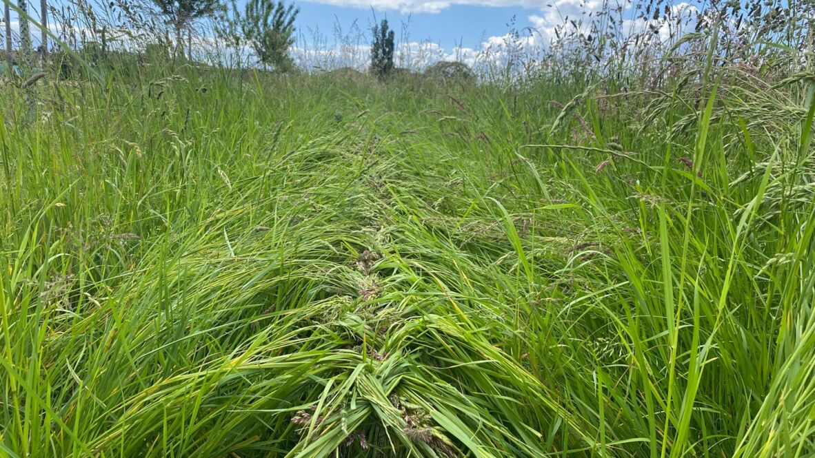 LandschaftsArt1 LandschaftsArt1