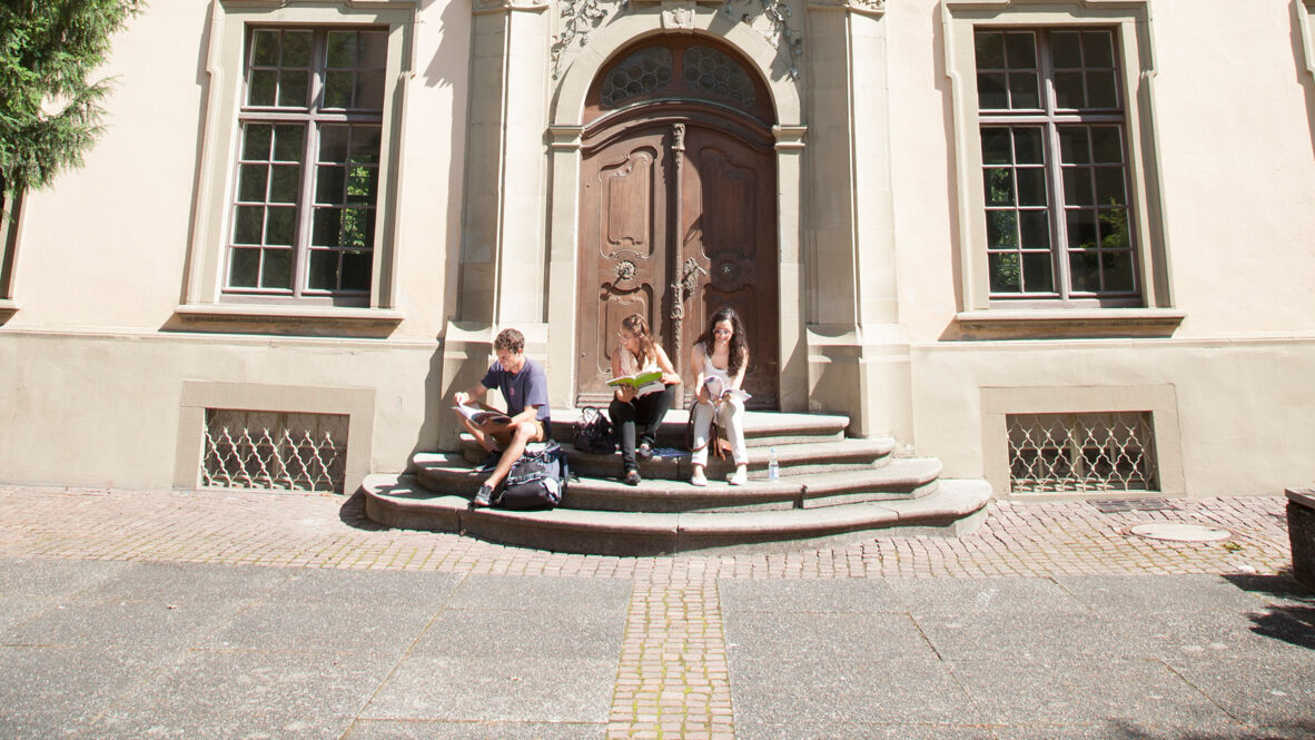 Tür Schlossbau 8863 Tür Schlossbau 8863