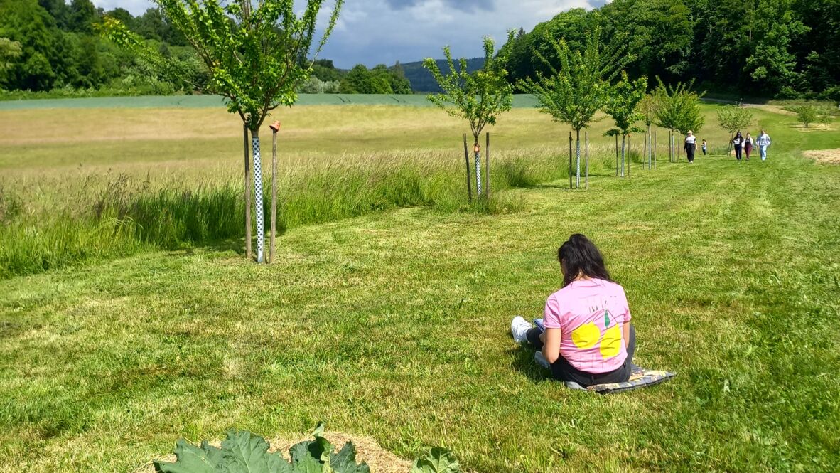 LandschaftsArt6 LandschaftsArt6