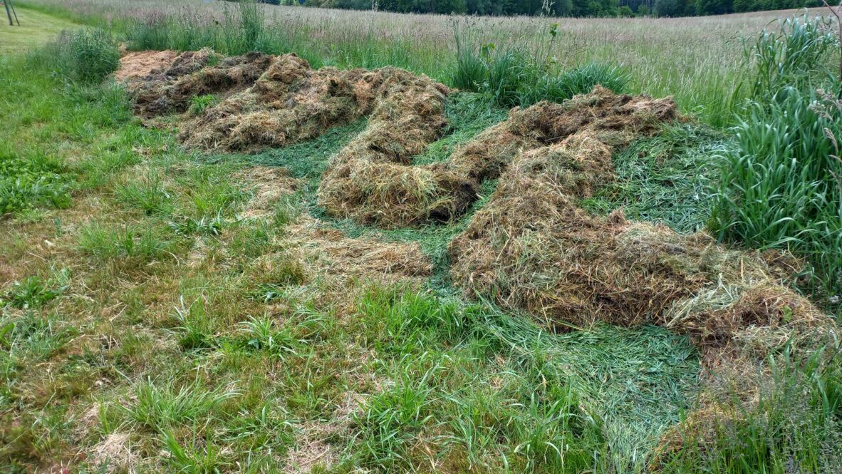 LandschaftsArt5 LandschaftsArt5