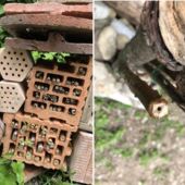 Nistangebote Nistangebote