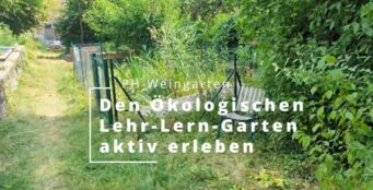 Foto 2_ÖLLG_Natur im Garten hautnah erleben Foto 2_ÖLLG_Natur im Garten hautnah erleben