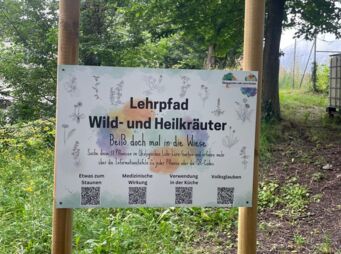 Foto_Übersichtstafeln Lehrpfad Wild- und Heilkräuter Foto_Übersichtstafeln Lehrpfad Wild- und Heilkräuter