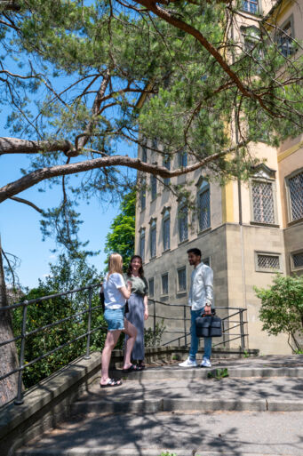 Schlossbau_1 Schlossbau_1