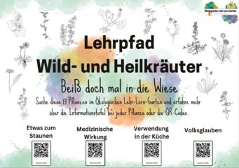 Übersichtstafeln QR-Codes Wild- und Heilkräuter Übersichtstafeln QR-Codes Wild- und Heilkräuter