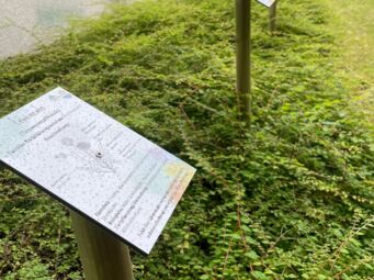 Foto_Beschilderung der Kräuter Foto_Beschilderung der Kräuter