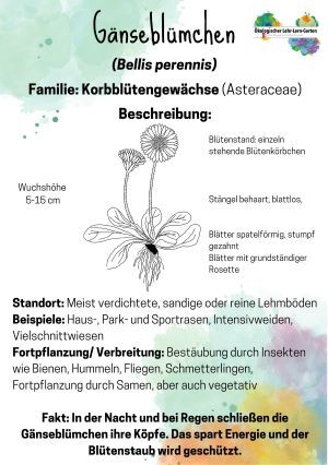 Foto Steckbrief einzeln_ Foto Steckbrief einzeln_