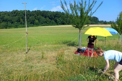 LandschaftsArt8