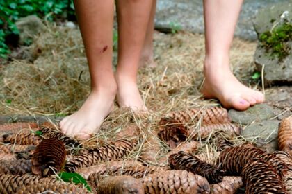 Foto_Schulgartenfest_7 Foto_Schulgartenfest_7