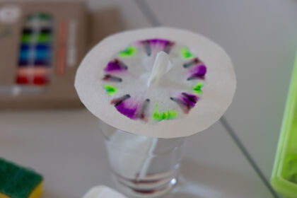 Schöne Muster entstehen, wenn sich Wasser auf einem angemalten Papier ausbreitet. AWW Stiftung Kinder forschen