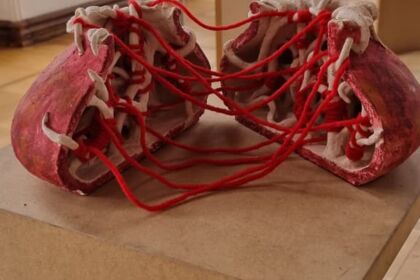 Alexandra Krepart Alexandra Krepart