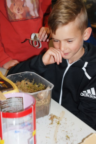 Foto IV_Schneckenbehausung