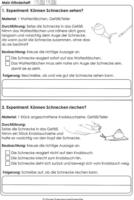 Foto K&ouml;nnen Schnecken sehen