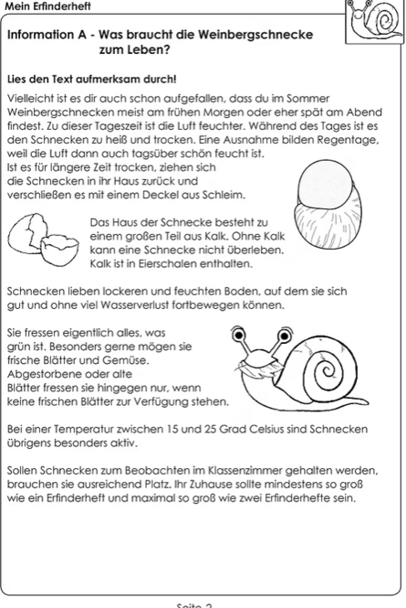 Foto Was braucht eine Weinbergschnecke zum Leben