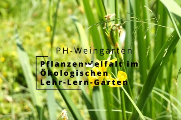 Foto Video Pflanzen_ÖLLG Foto Video Pflanzen_ÖLLG