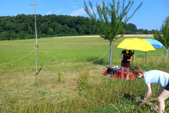 LandschaftsArt8 LandschaftsArt8