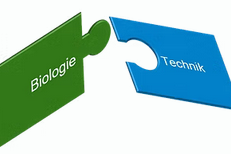 Foto_mehr zum startlearnING-Prinzip