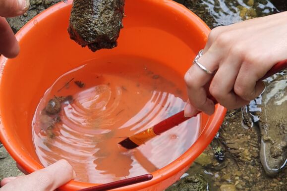 20250521_143947 20250521_143947