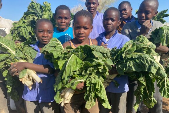 Schüler freuen sich über eine gute Ernte von frischem Mangold aus dem Schulgarten. Ernte im Schulgarten