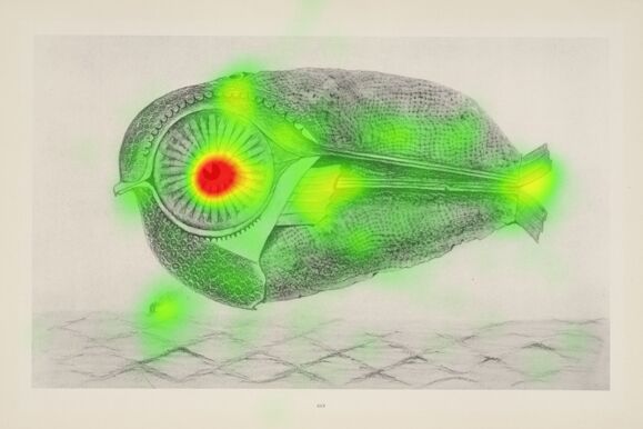 Vorarbeit_Heatmap_levade Max Ernst - Left concurrent (002)