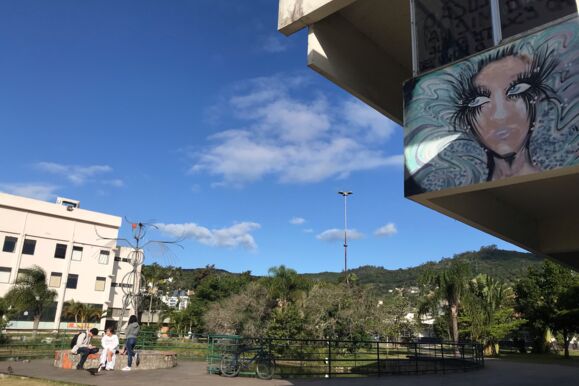image6 image6