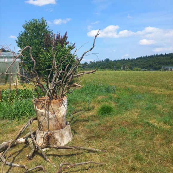 LandschaftsArt7