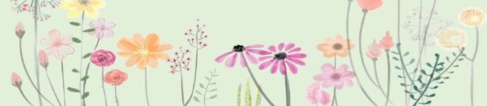 Foto Schulgartenfest Foto Schulgartenfest