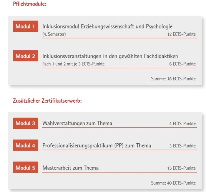 Schwerpunkt_Inklusion_Sekundarstufe_I Schwerpunkt_Inklusion_Sekundarstufe_I