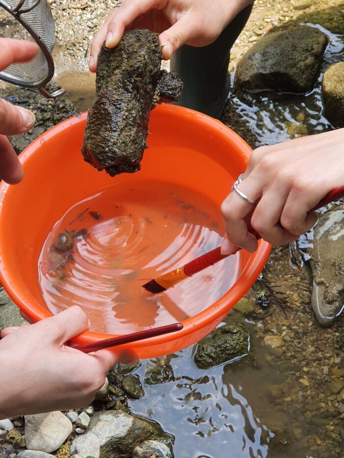 20250521_143947 20250521_143947