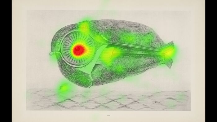 Vorarbeit_Heatmap_levade Max Ernst - Left concurrent (002) Vorarbeit_Heatmap_levade Max Ernst - Left concurrent (002)